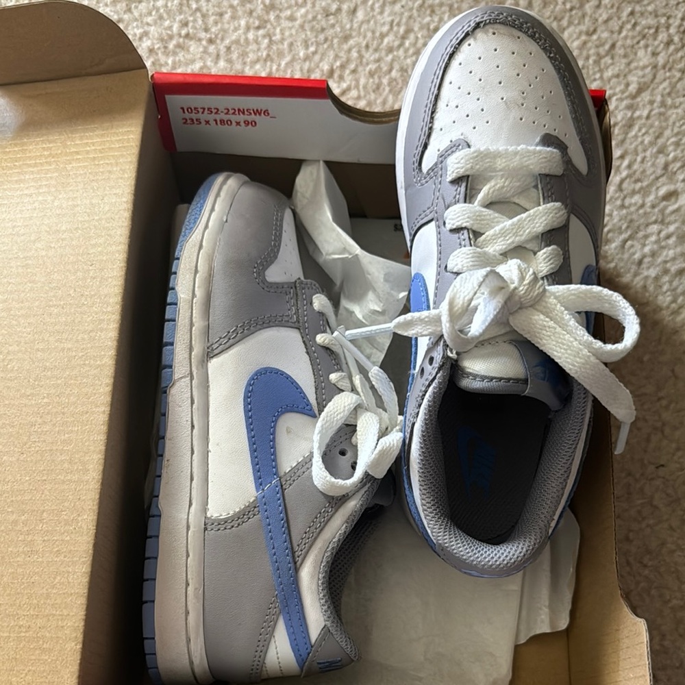 Kids' Nike Dunk Low (PSE)